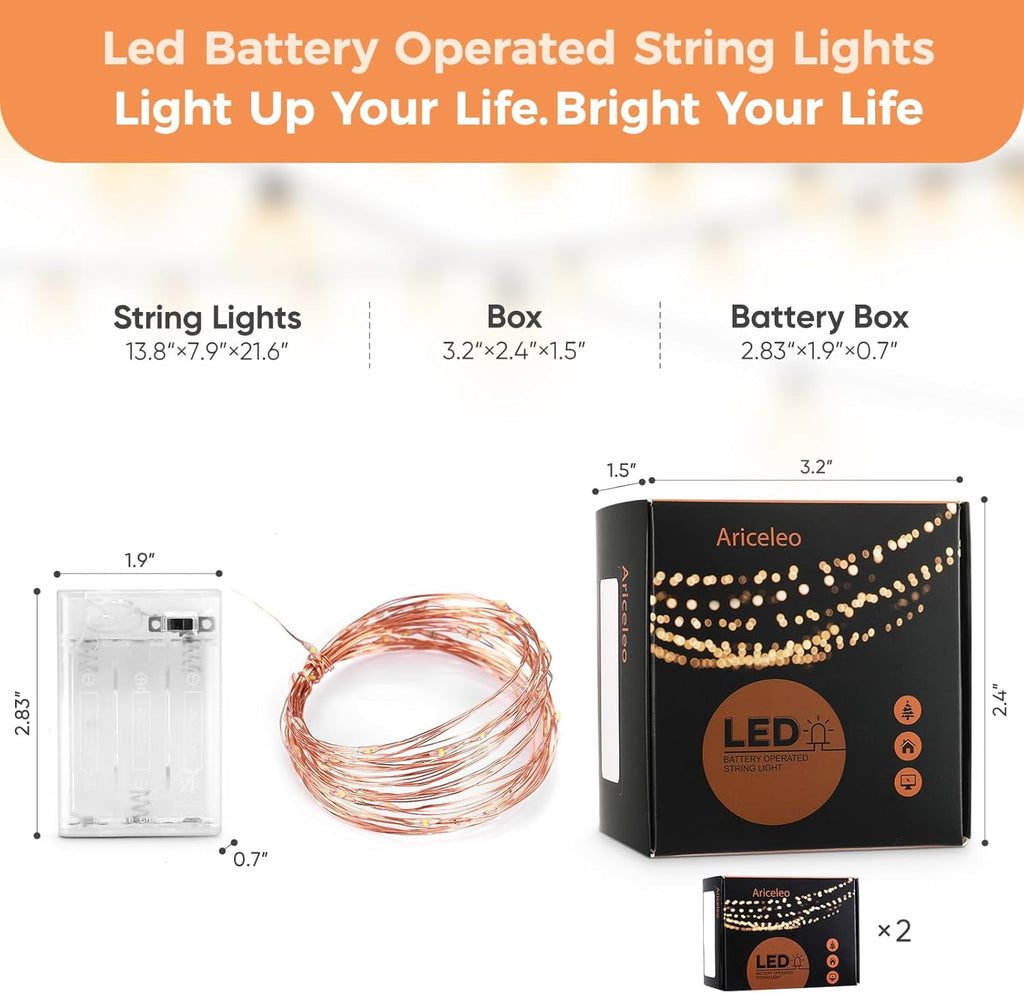 2 Pack 16.4ft Battery Operated String Lights with Timer, Warm White with Synchronized Twinkle Mode, Fairy Lights Battery Powered, 50 LEDs, Idea for Christmas Bedroom Party Wedding