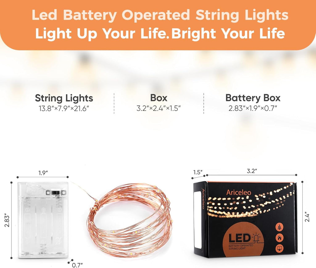 2 Pack 16.4ft Battery Operated String Lights with Timer, Warm White with Synchronized Twinkle Mode, Fairy Lights Battery Powered, 50 LEDs, Idea for Christmas Bedroom Party Wedding