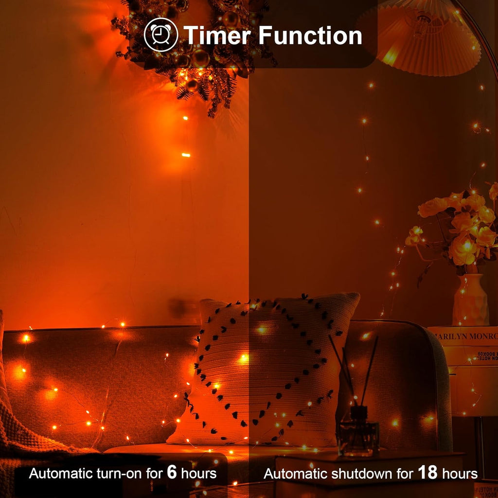 2 Pack 16.4ft Battery Operated String Lights with Timer, Warm White with Synchronized Twinkle Mode, Fairy Lights Battery Powered, 50 LEDs, Idea for Christmas Bedroom Party Wedding