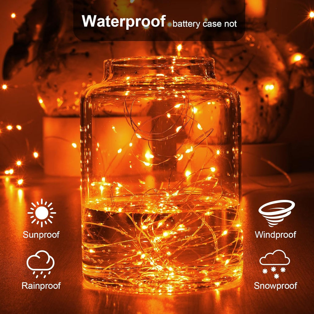 2 Pack 16.4ft Battery Operated String Lights with Timer, Warm White with Synchronized Twinkle Mode, Fairy Lights Battery Powered, 50 LEDs, Idea for Christmas Bedroom Party Wedding