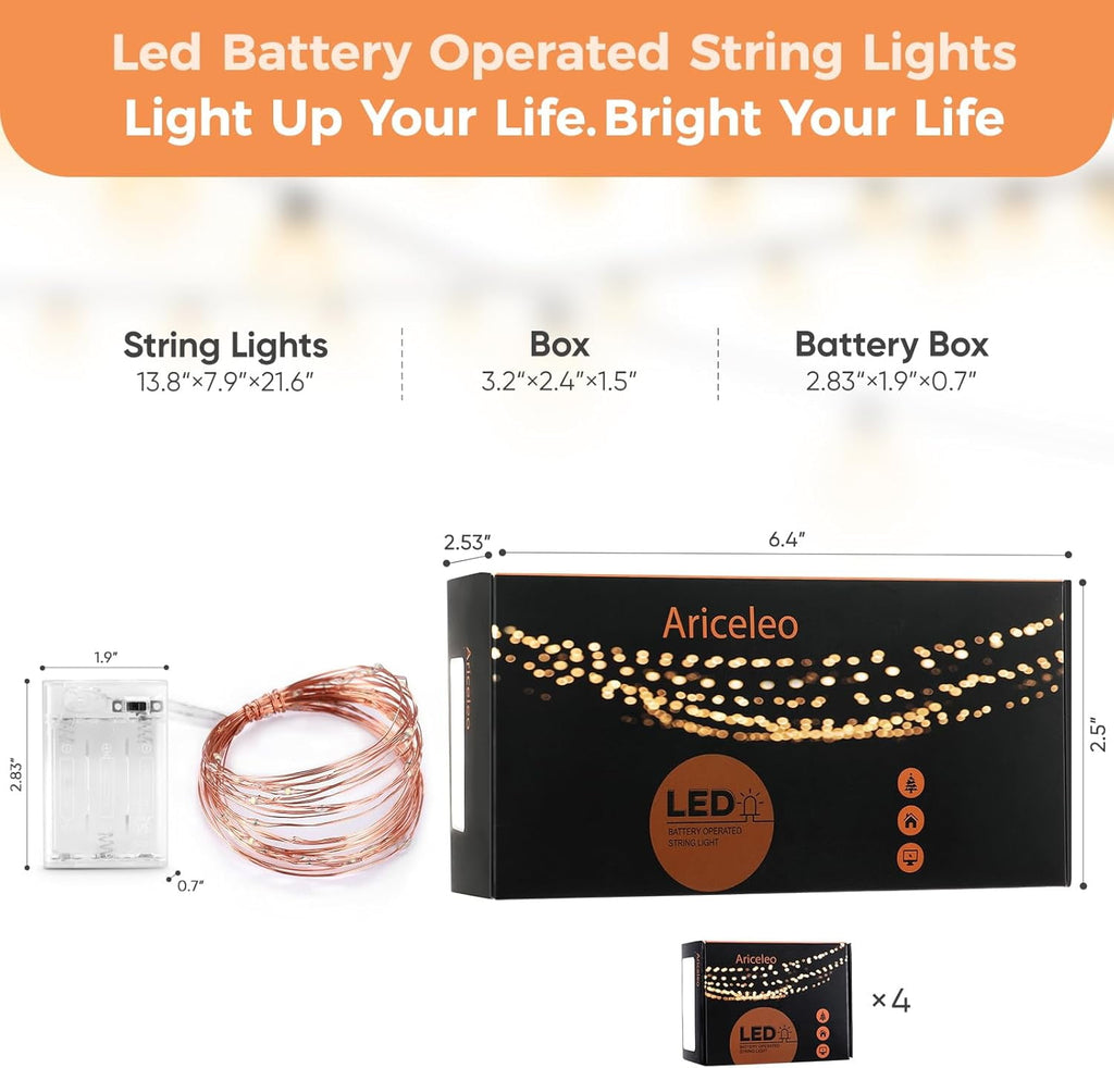 2 Pack 16.4ft Battery Operated String Lights with Timer, Warm White with Synchronized Twinkle Mode, Fairy Lights Battery Powered, 50 LEDs, Idea for Christmas Bedroom Party Wedding