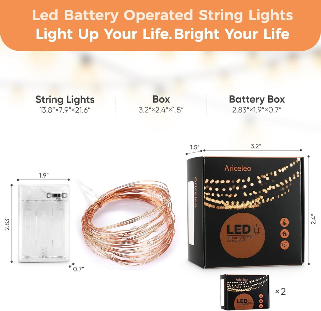 2 Pack 16.4ft Battery Operated String Lights with Timer, Warm White with Synchronized Twinkle Mode, Fairy Lights Battery Powered, 50 LEDs, Idea for Christmas Bedroom Party Wedding